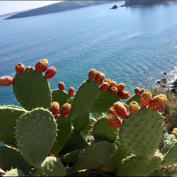 〰️Meet your Posher❤️Wendy〰️ - Picture 2 of 8